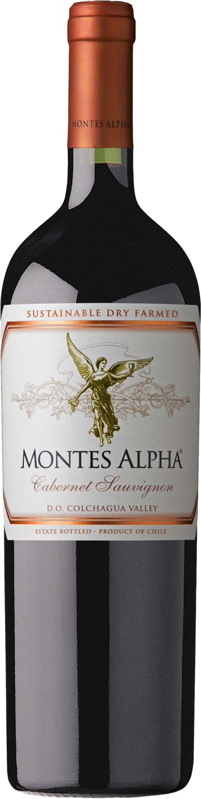 Montes Alpha Cabernet Sauvignon DO 2021 Rotwein 150 cl / 14.5 % Schweiz – Produktansicht
