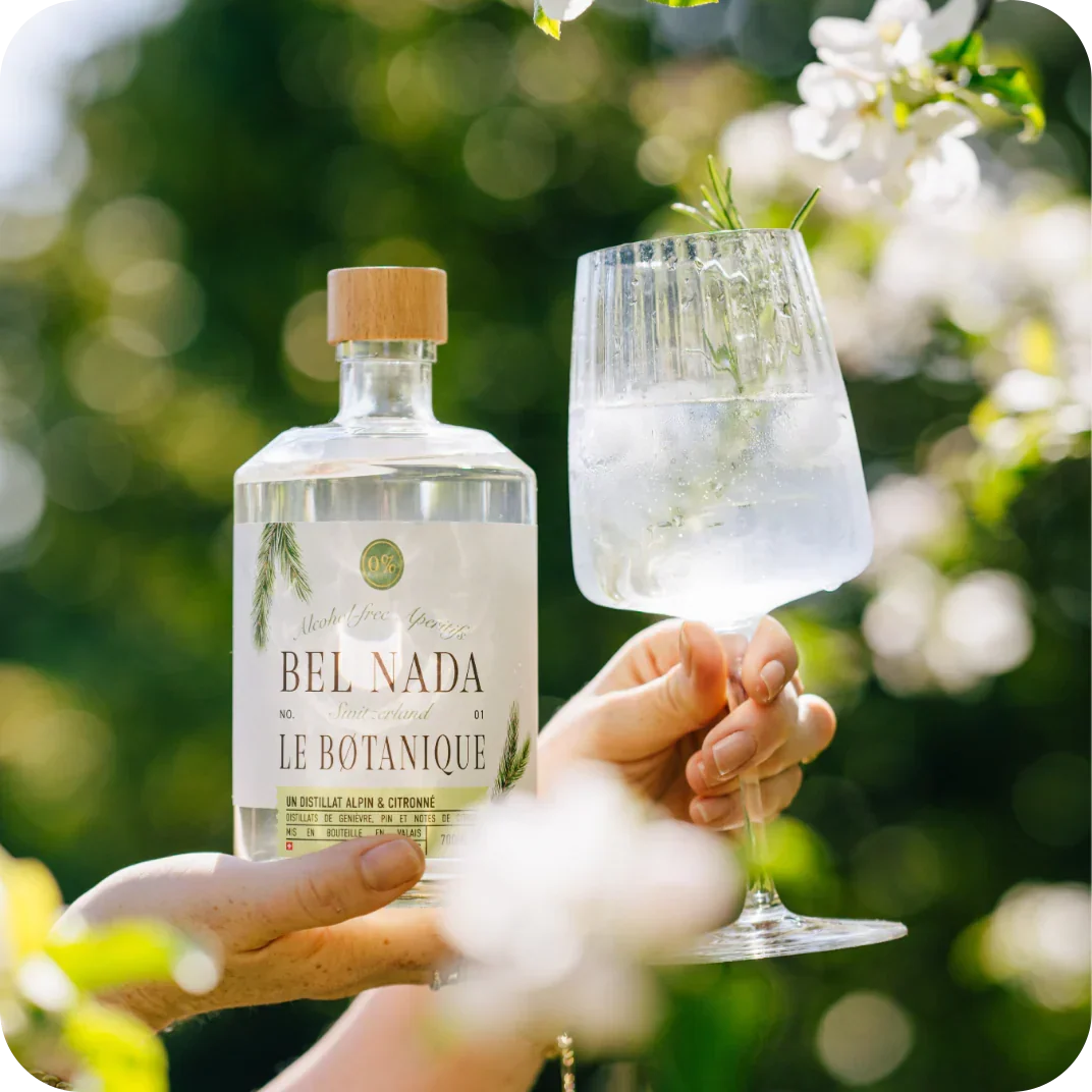 Bel Nada - GIN FIZZ BUNDLE - Refreshing & Zesty Cocktail Experience 🍸✨