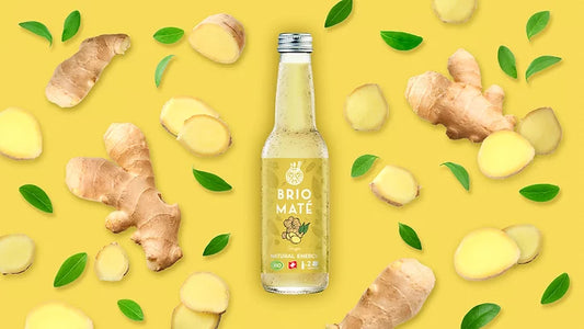 BRIO-MATE-GINGER-Natural-Energy-Glasflasche-Kiste-24-x-330-ml-Schweiz