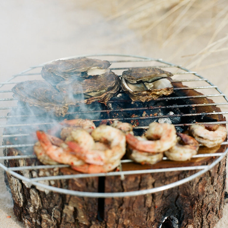 Eco-Grill4