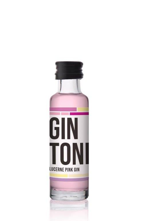Gin-Toni-Pink-Miniature-gr-sser