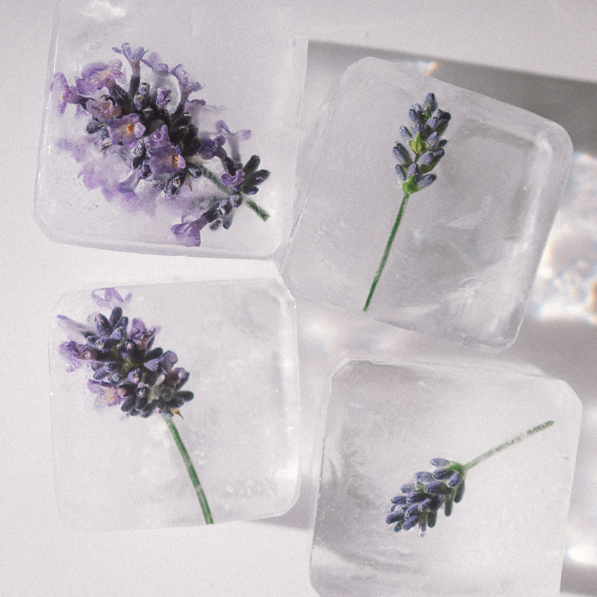 LEAU NIGHT Lavender Infused Sparkling Water Dose 330 ml Schweiz – Ansicht 3