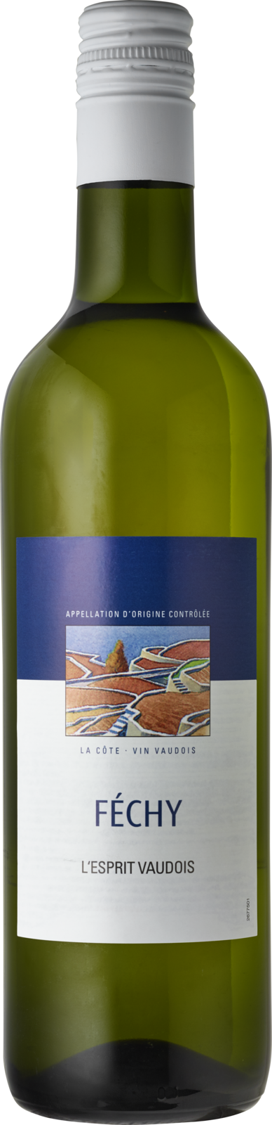 L'Esprit Vaudois Féchy AOC La Côte Weisswein Kiste 12 x 50 cl / 12 % Schweiz – Produktansicht
