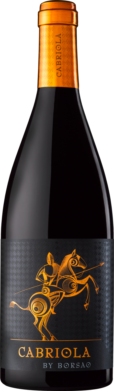 Bodegas Borsao Campo de Borja D.O. Cabriola by Borsao 2019 Rotwein Kiste 6 x 75 cl / 15 % Spanien – Produktansicht