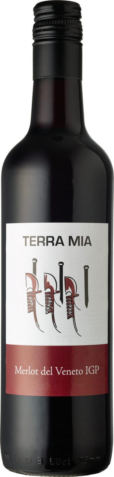Terra Mia Merlot Veneto IGP Rotwein Kiste 12 x 50 cl / 11.5 % Italien – Produktansicht