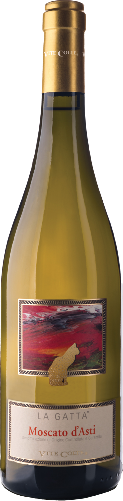 Vite Colte Moscato d'Asti DOCG La Gatta 2025 Schaumwein Kiste 6 x 75 cl / 5 % Italien – Produktansicht