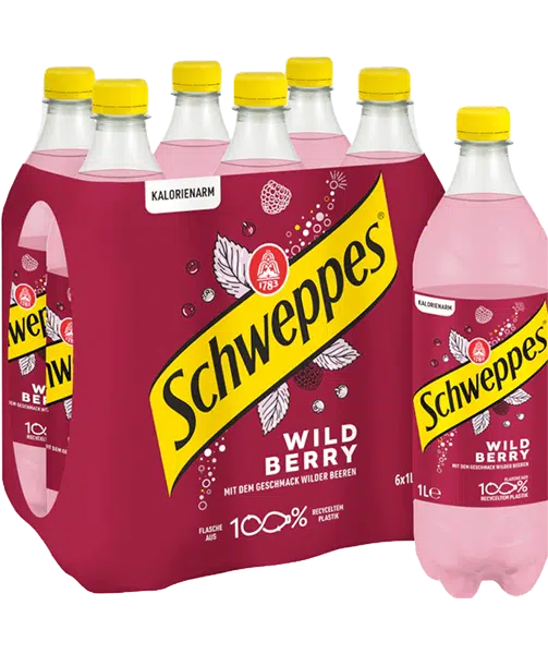 Schweppes-Wildberry-6-x-100-cl-PET