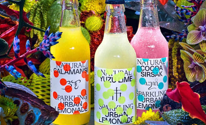 Urban-Lemonade-CALAMANSI-24-x-200-ml-Schweiz1