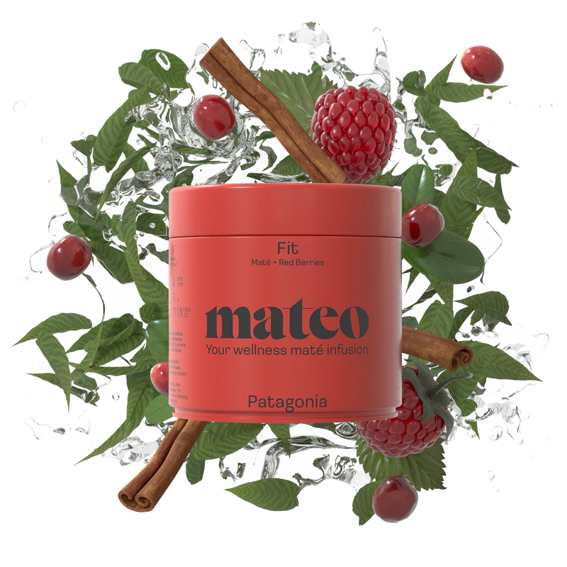 mateo-Mat-Tee-PATAGONIA-Mission-Fit-loser-Tee-100-Gramm