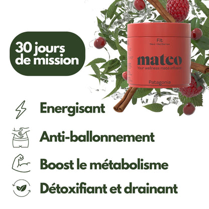 mateo-Mat-Tee-PATAGONIA-Mission-Fit-loser-Tee-100-Gramm2